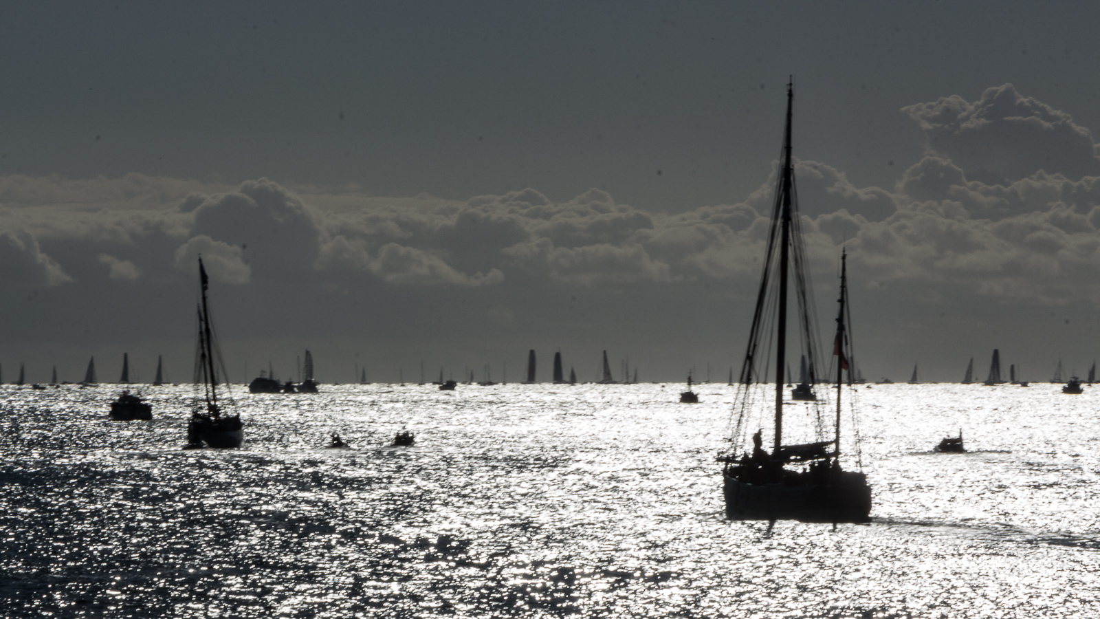 20161106-9539.jpg