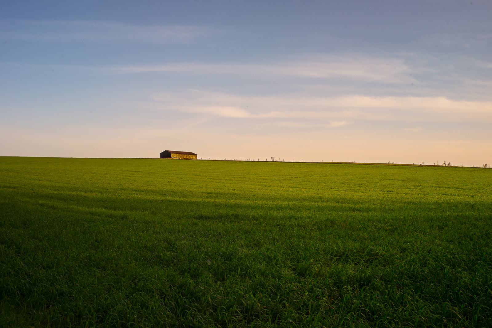 _DSC9147.jpg