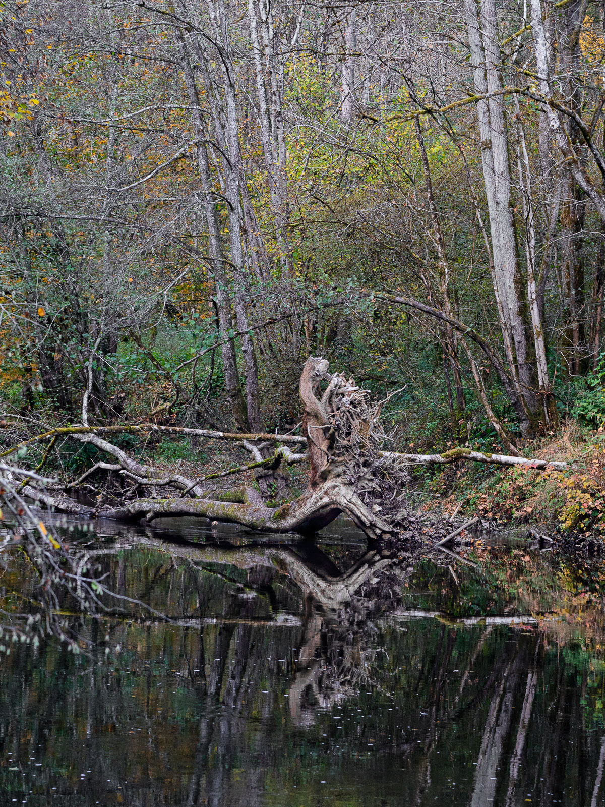 _DSC9160.jpg