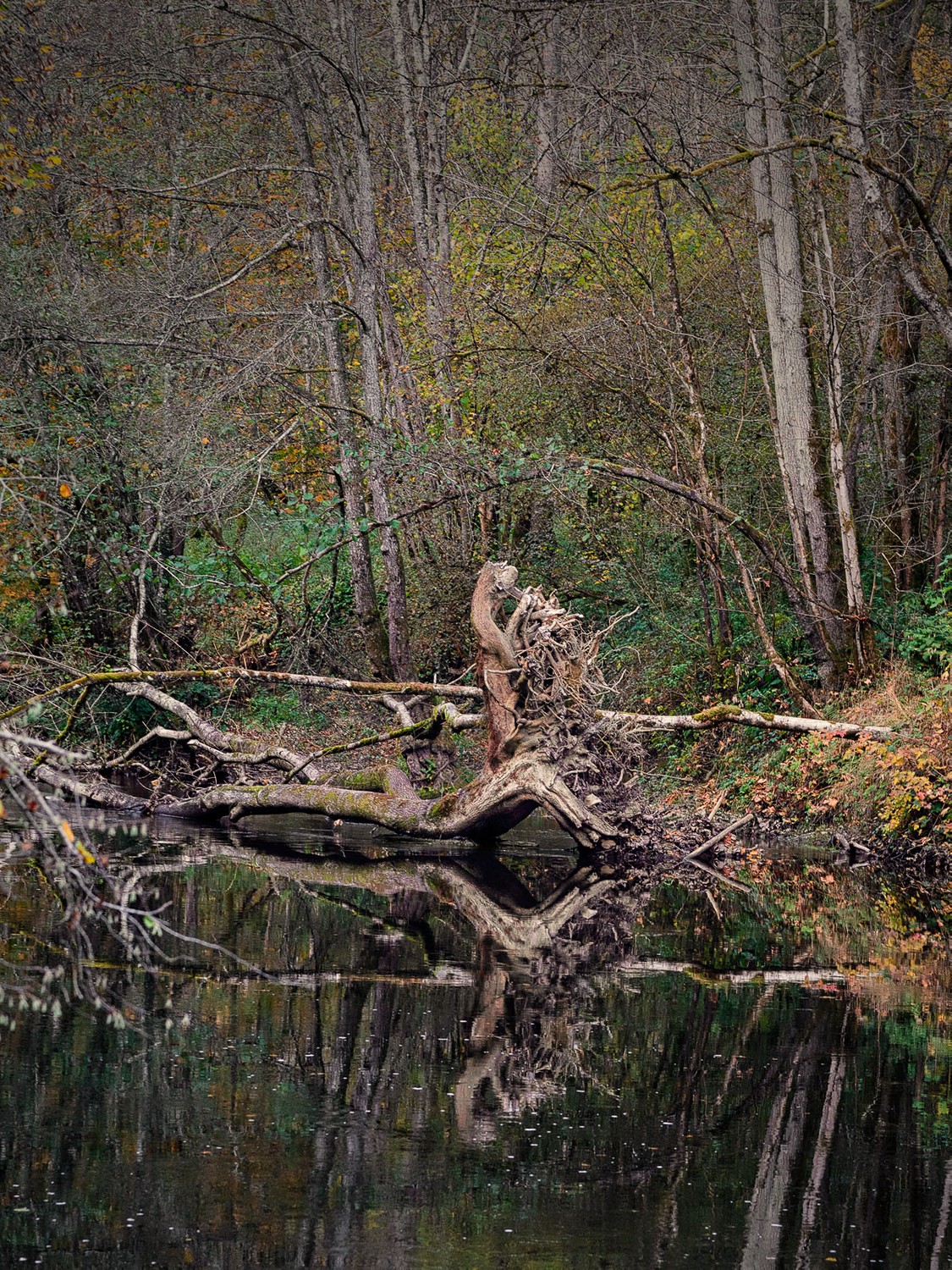 _DSC9160.jpg