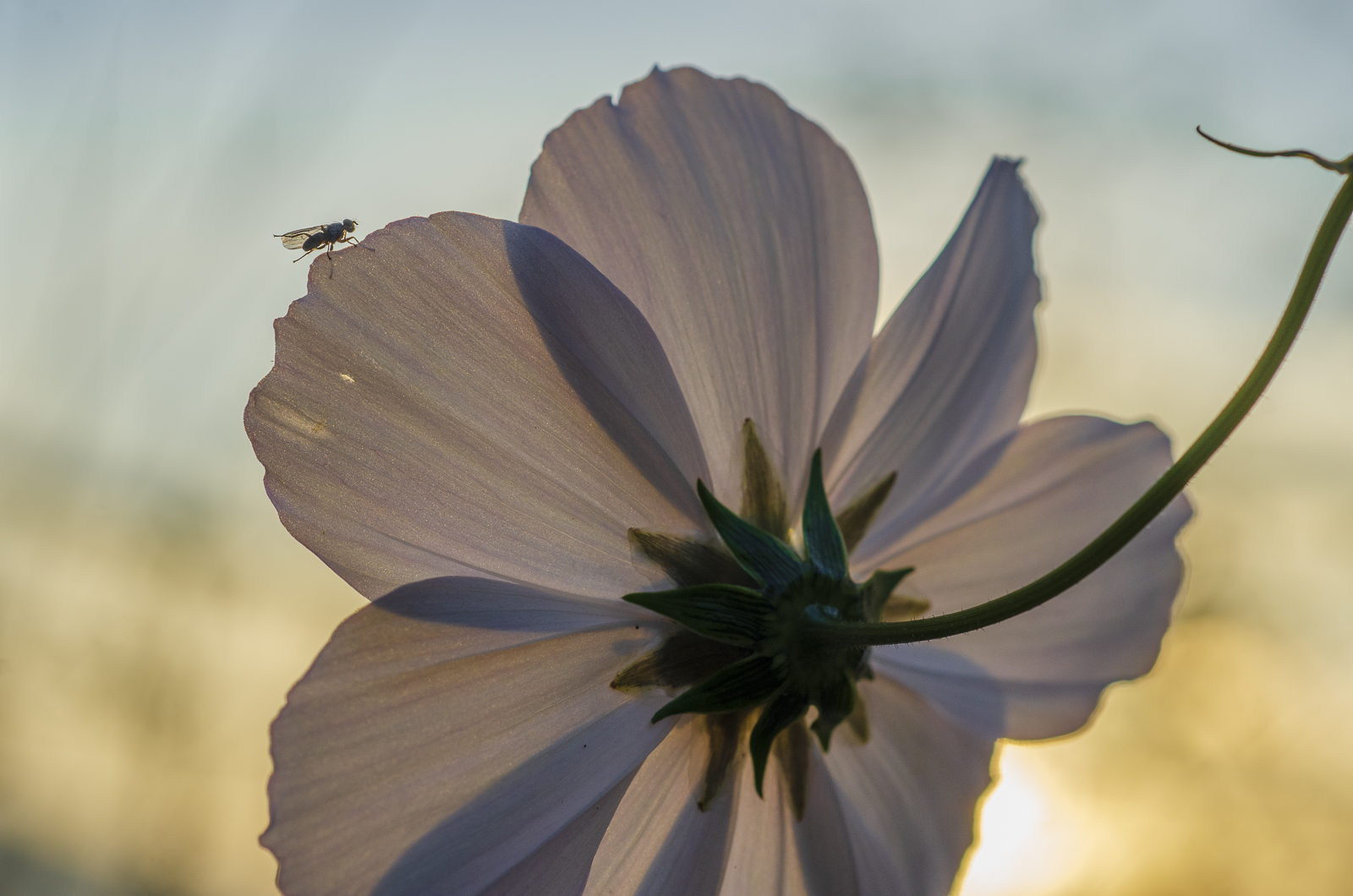 VB-sans titresans titre-09112020-023023-Modifier.jpg