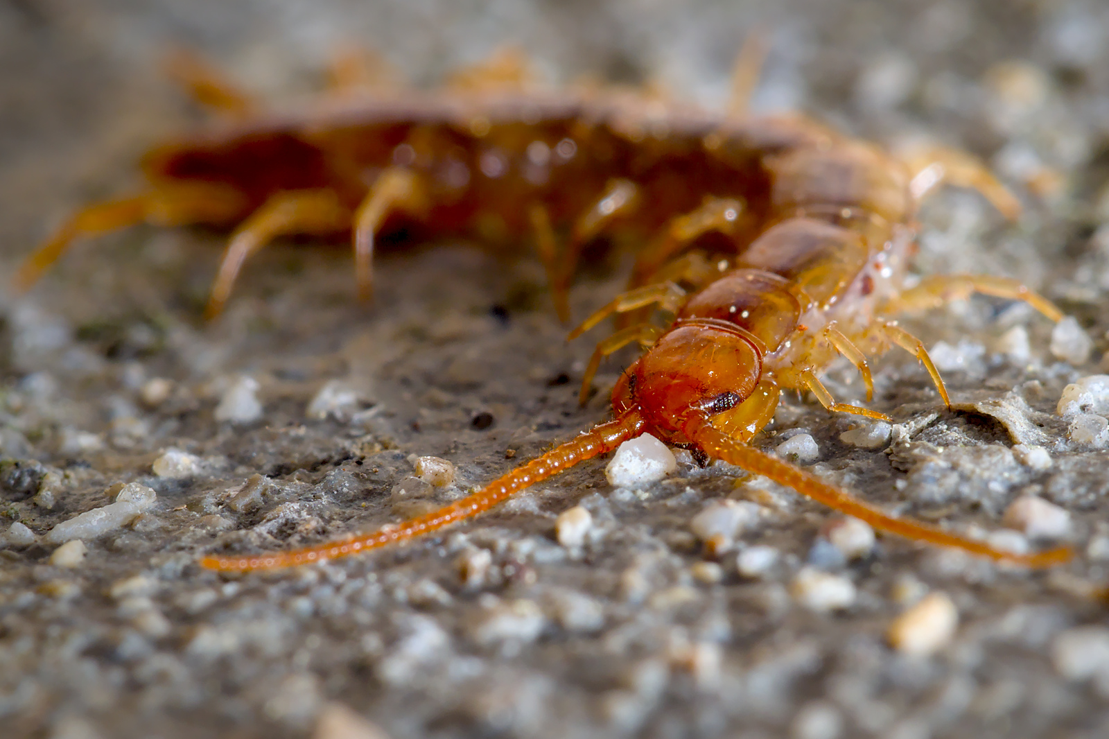 20201110_B100101.jpg