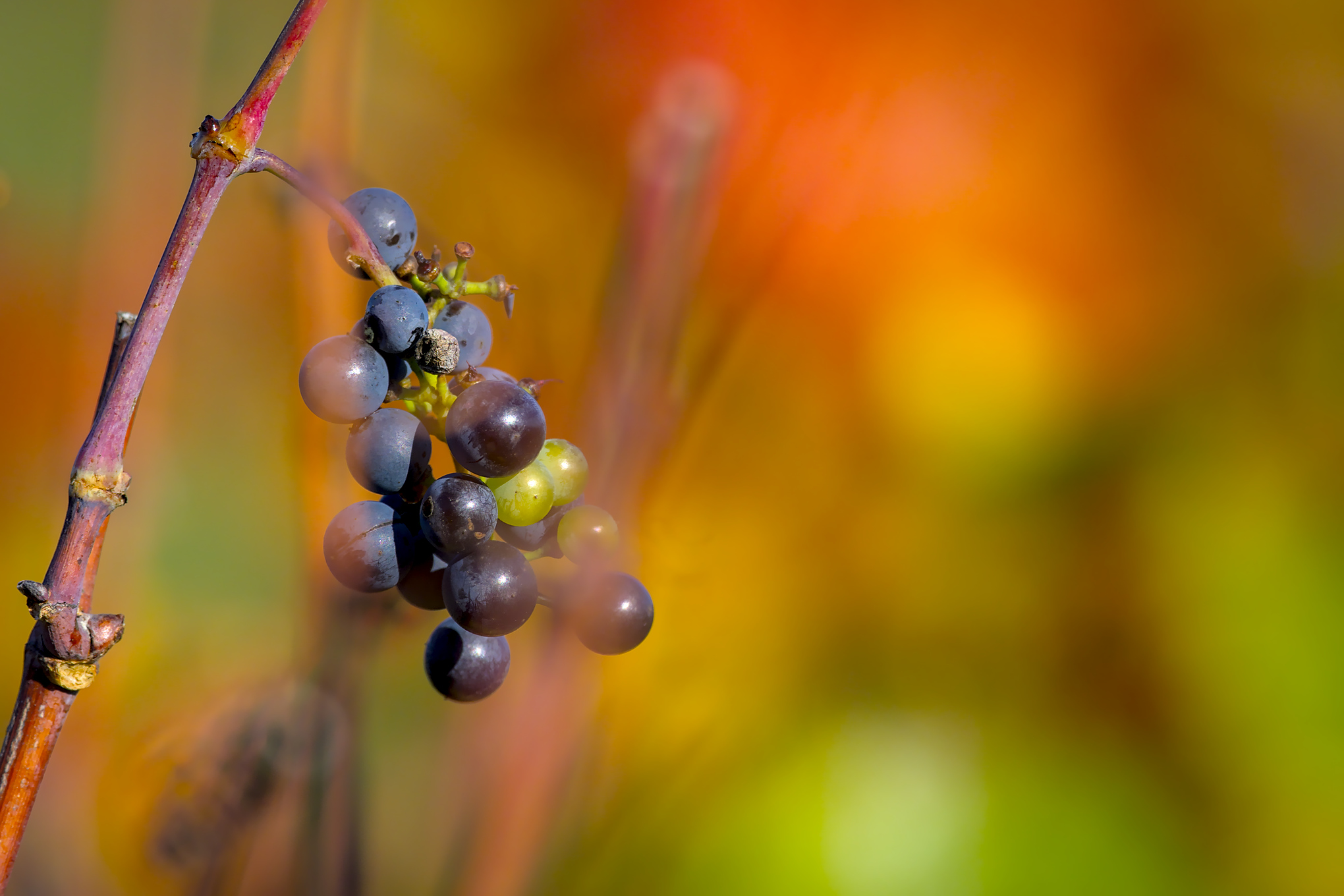 20201112_JCA0020.jpg