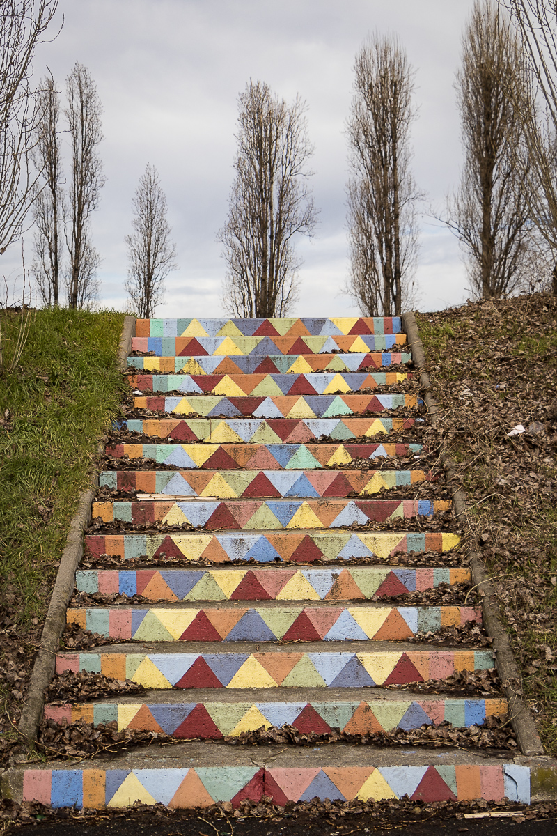 20180305-9584.jpg