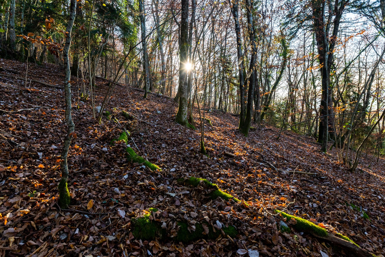 _DSC3370-HDR.jpg