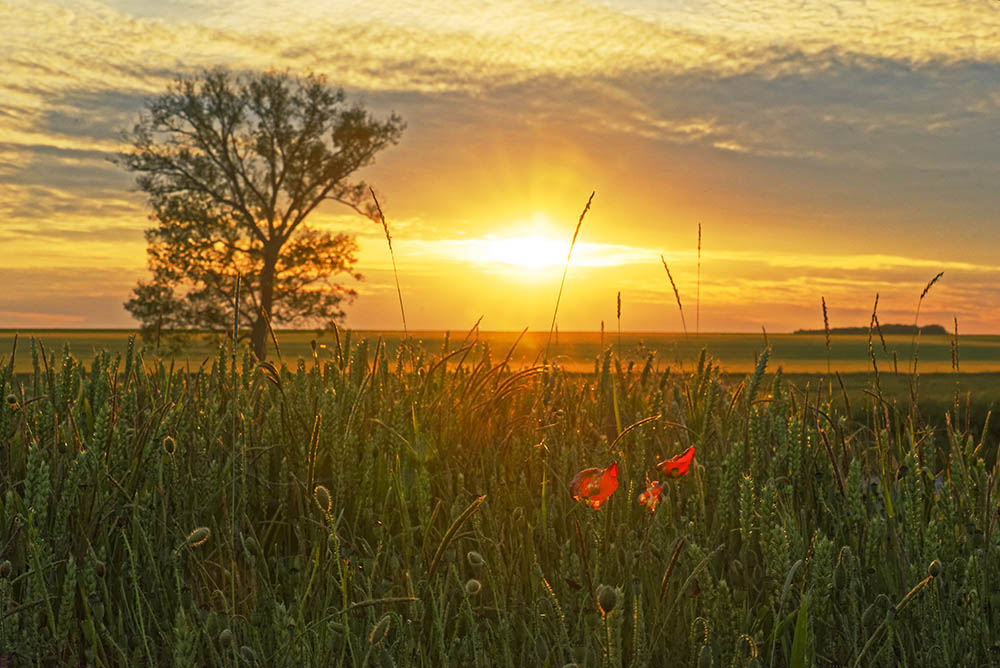 _DSC9689_DxO.jpg