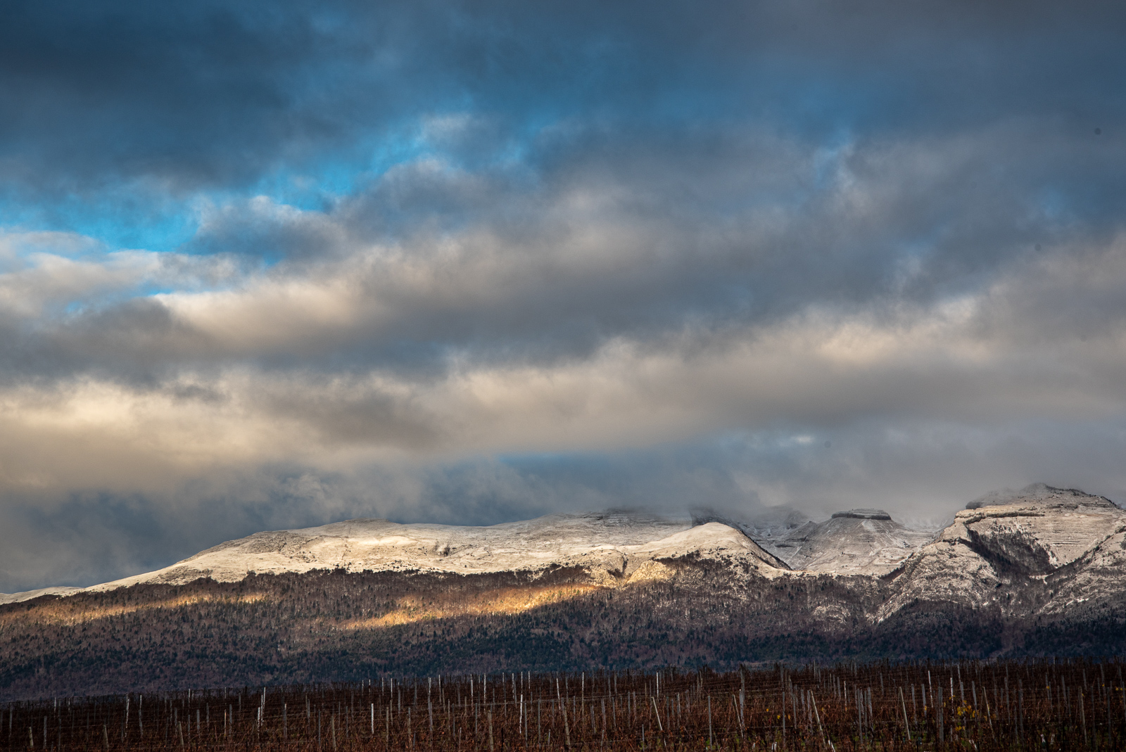 _DSC0529-3.jpg