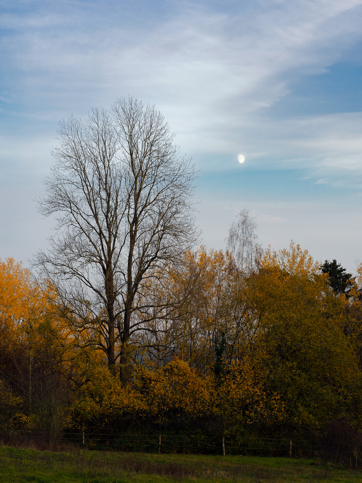 _DSC9330-2.jpg