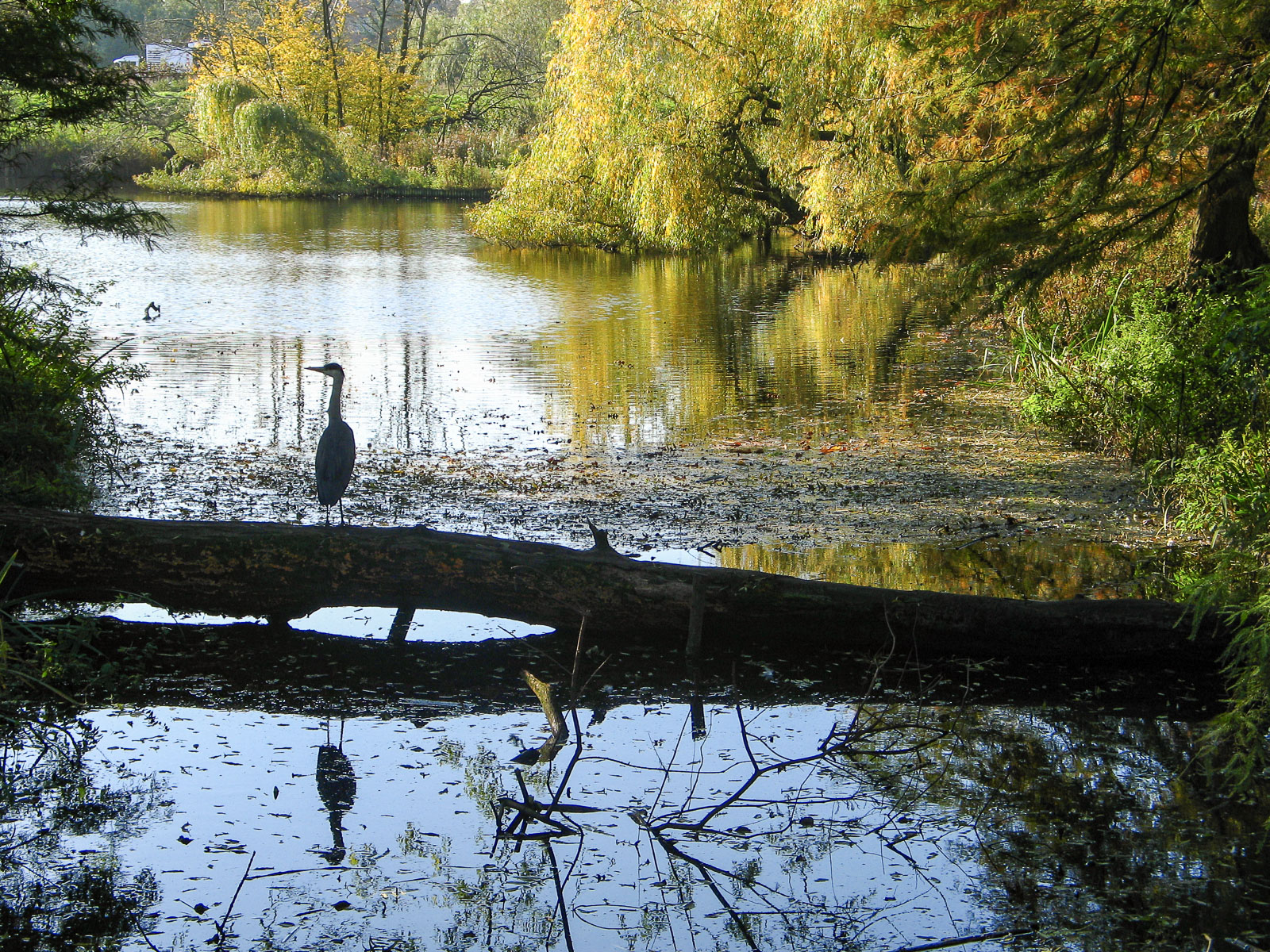 20111031-167.jpg