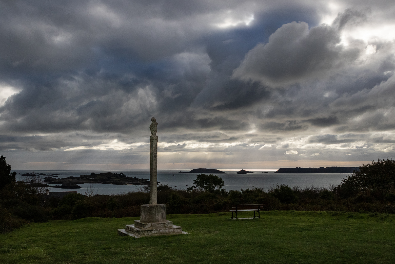 20201015-8092.jpg