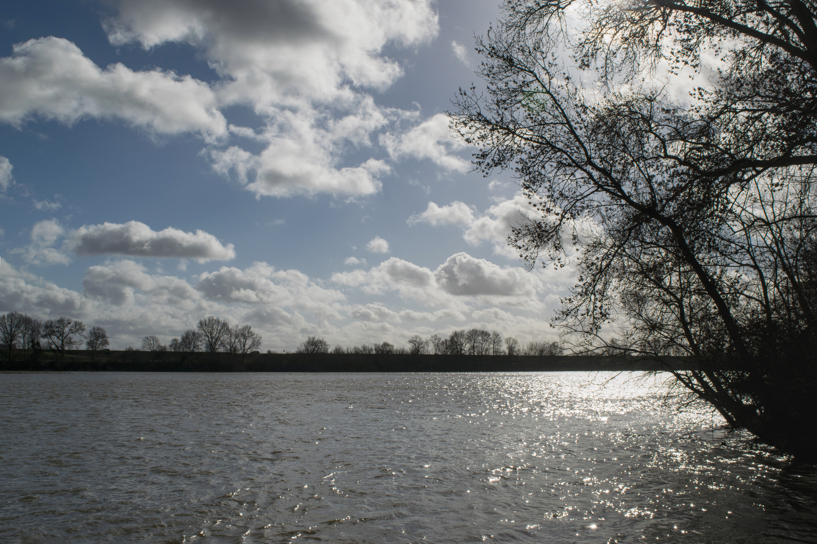 07 février 2016- La Loire en amont de Blois.jpg