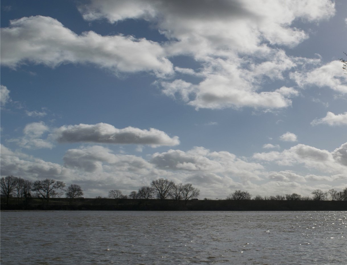 Image1.jpg