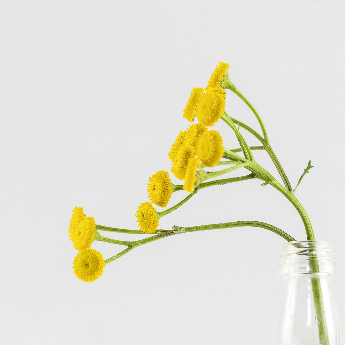 20201202-8527.jpg