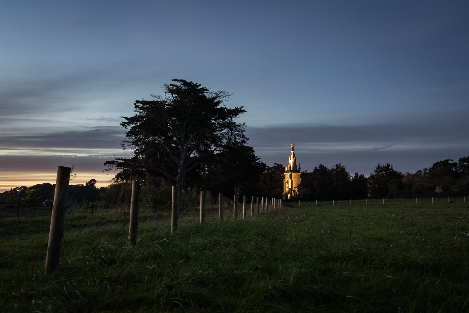 20201009-7905.jpg
