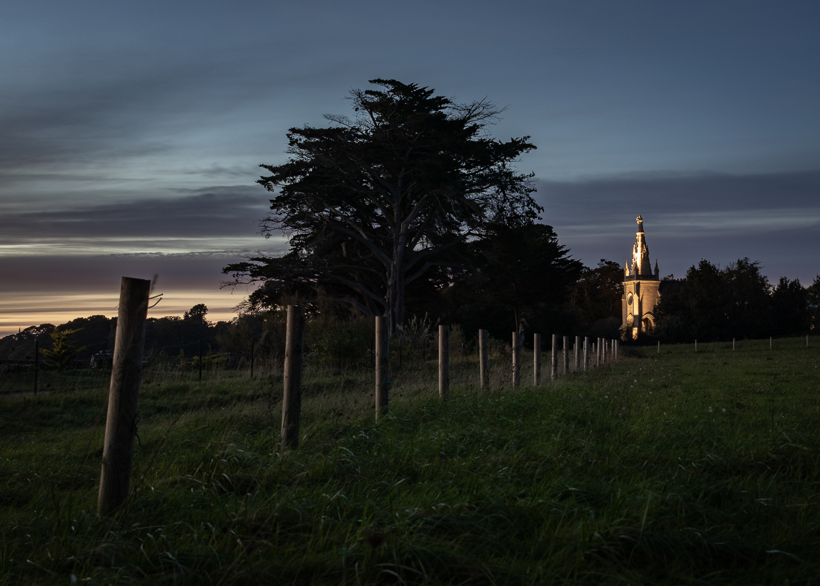 20201009-7905-2.jpg