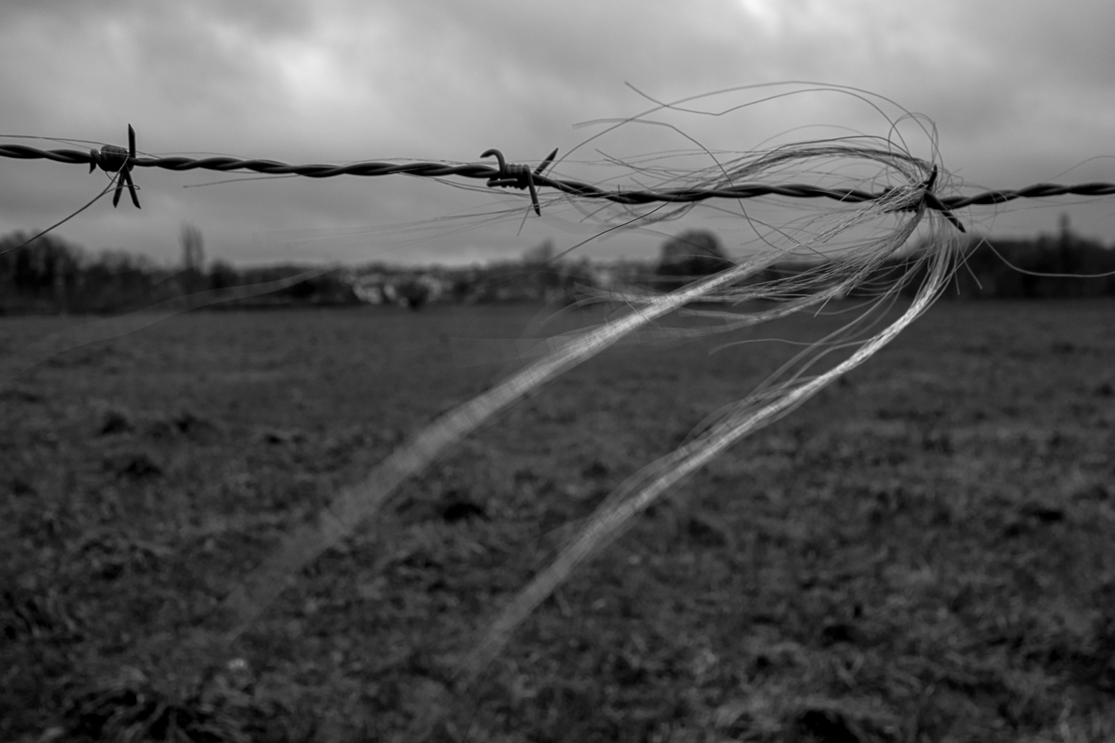 sans titre (1 sur 1)-79.jpg