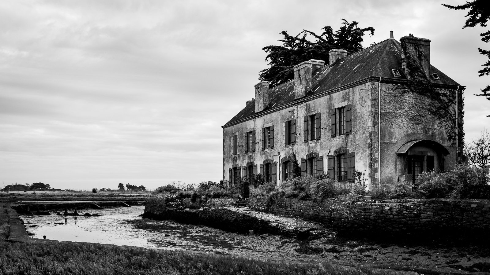 20201008-7729.jpg