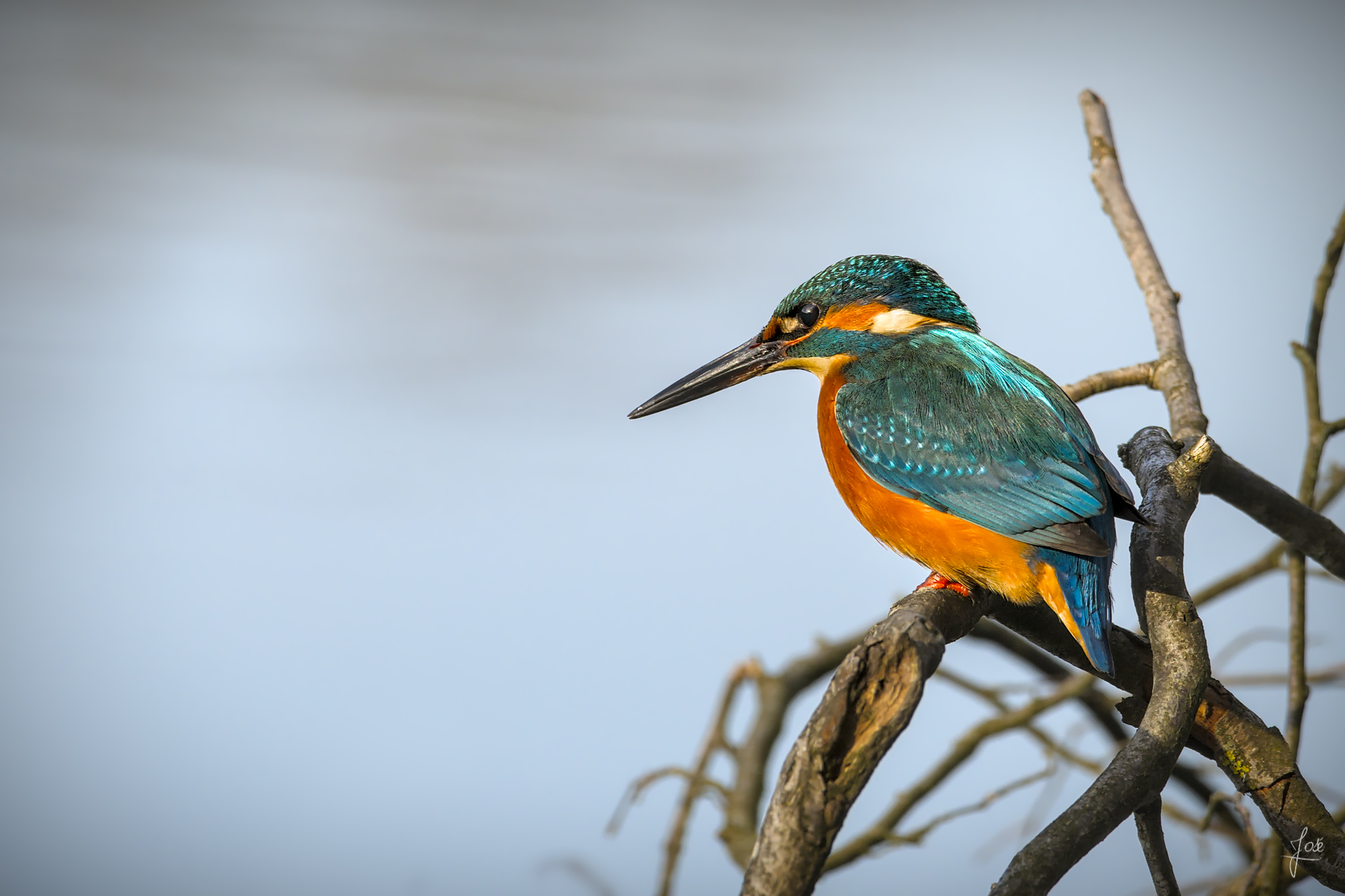 20201203_JCA0088.jpg