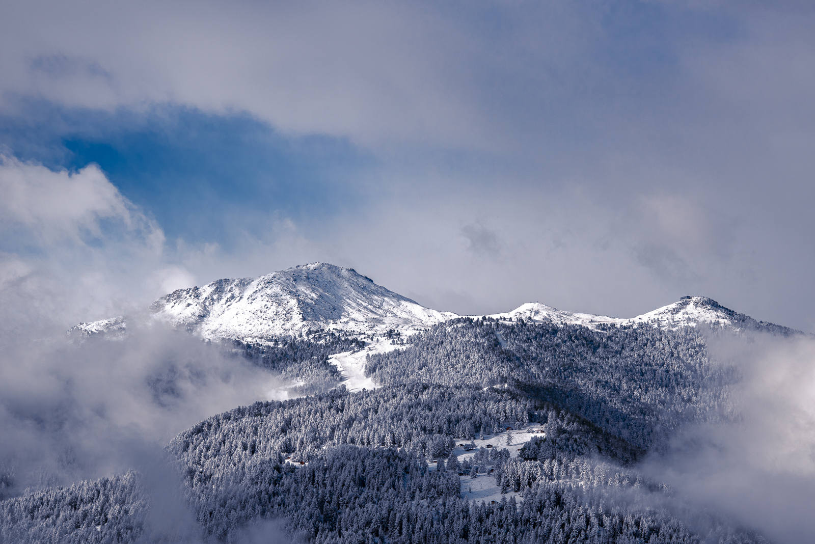 _DSC0438.jpg