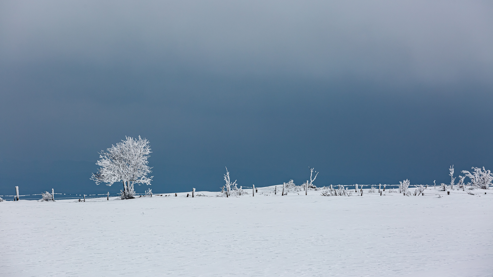 5D3_6412-2.jpg