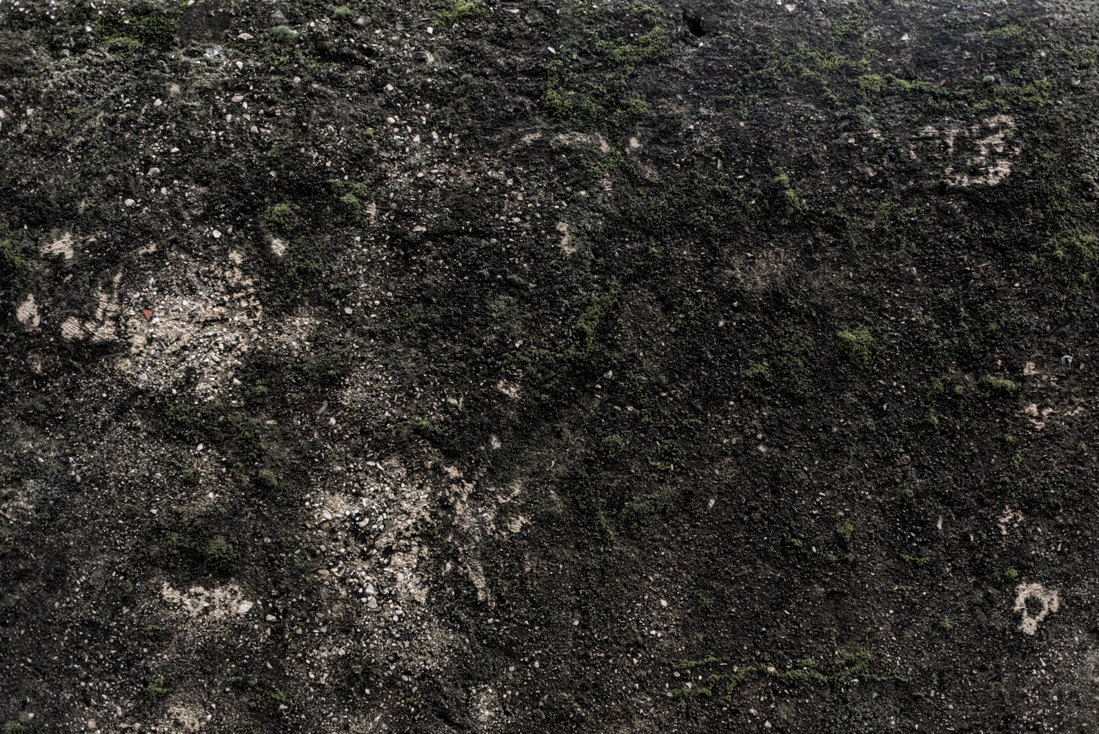 sans titre n°456b.jpg