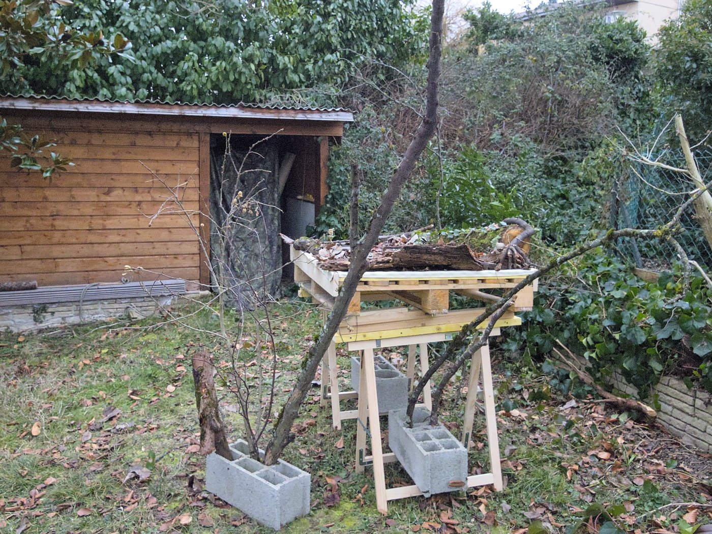 20210111_JCA0003.jpg
