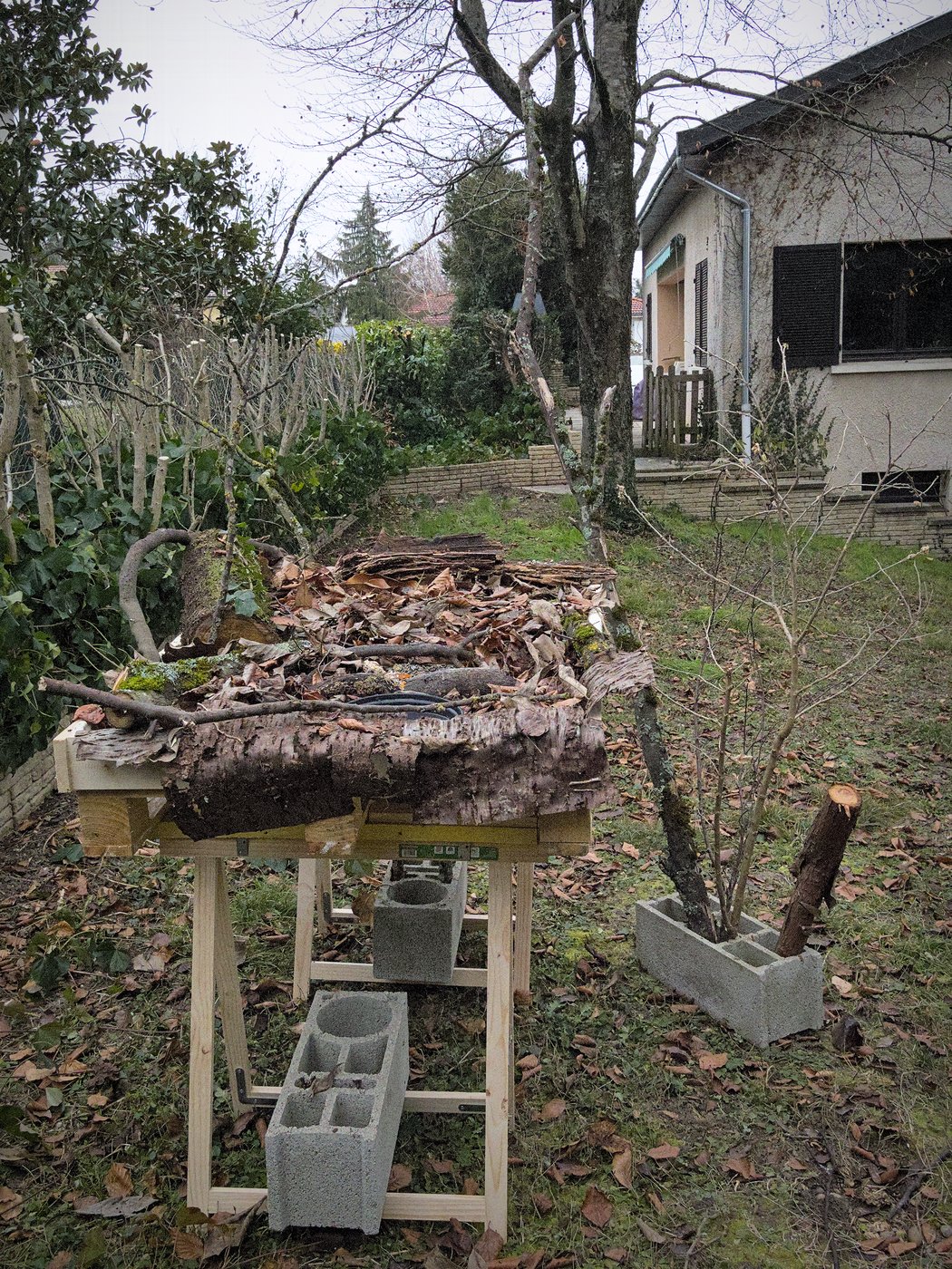 20210111_JCA0006.jpg