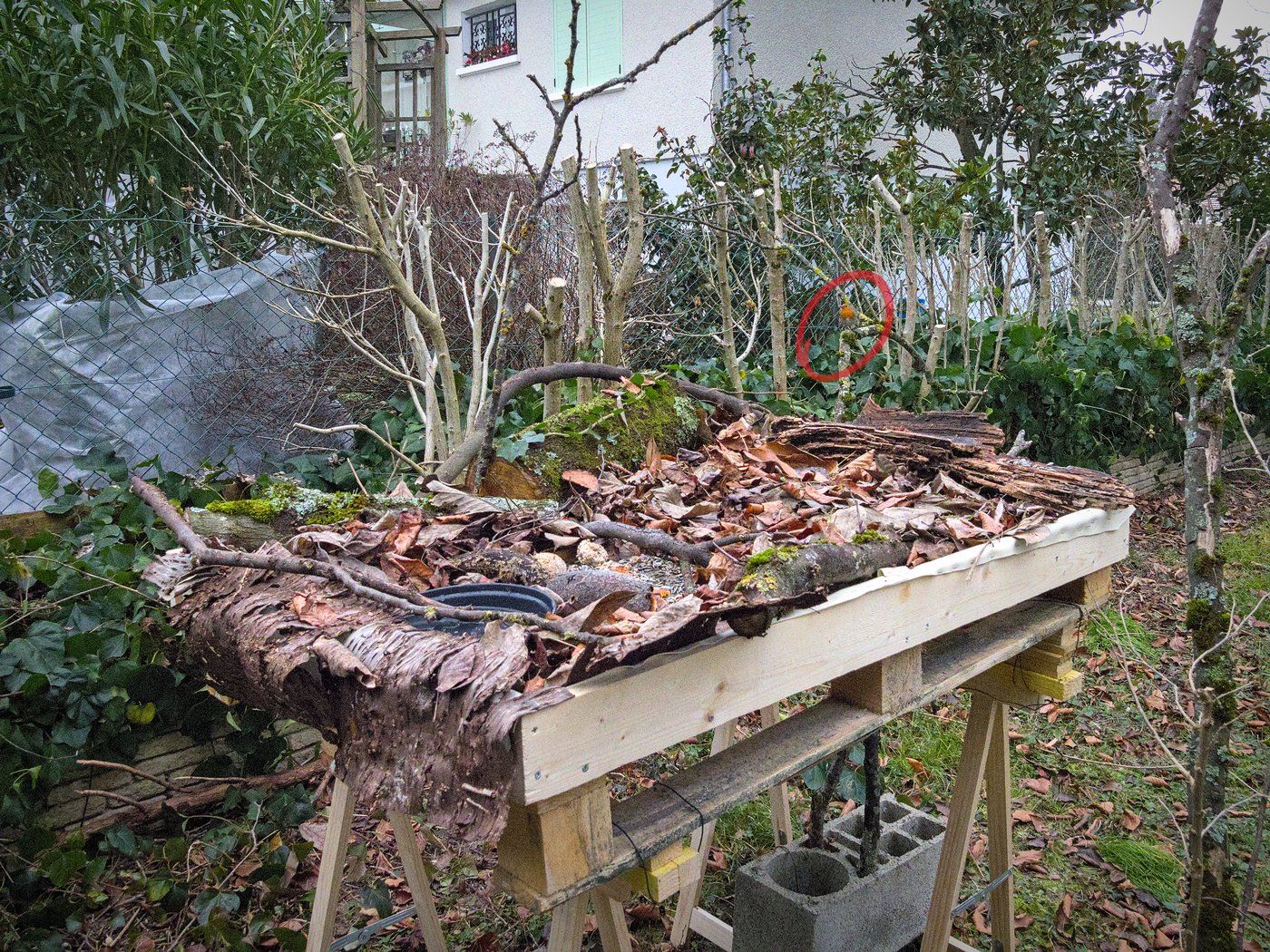 20210111_JCA0017.jpg