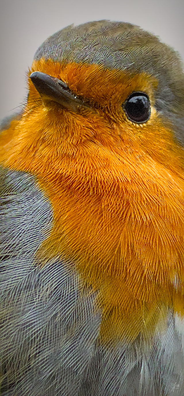 20210109_JCA0075_01.jpg