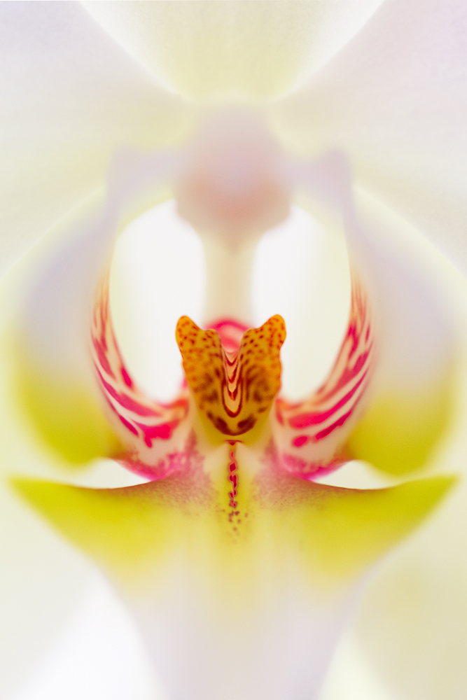 IMG_9466-Modifier.jpg