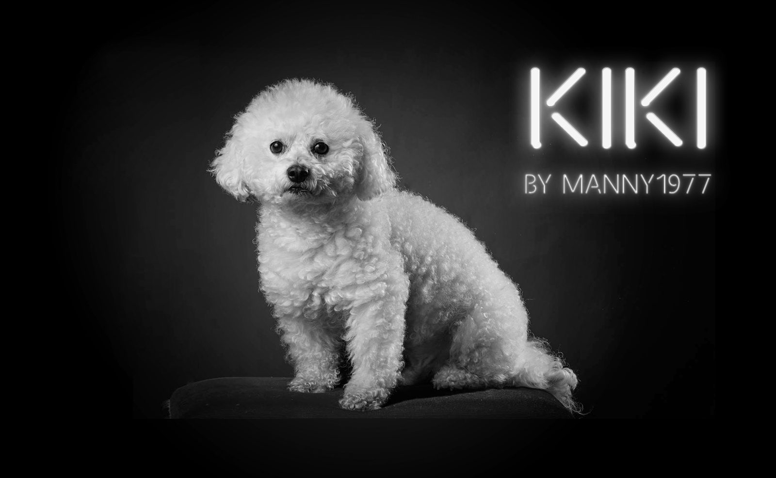 kiki.jpg