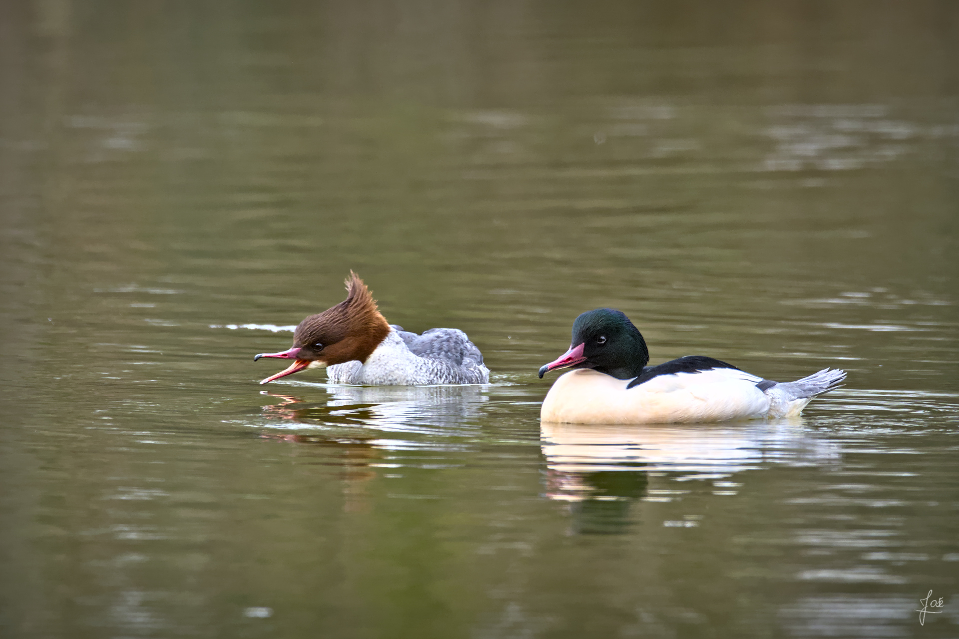 20210131_JCA0153.jpg