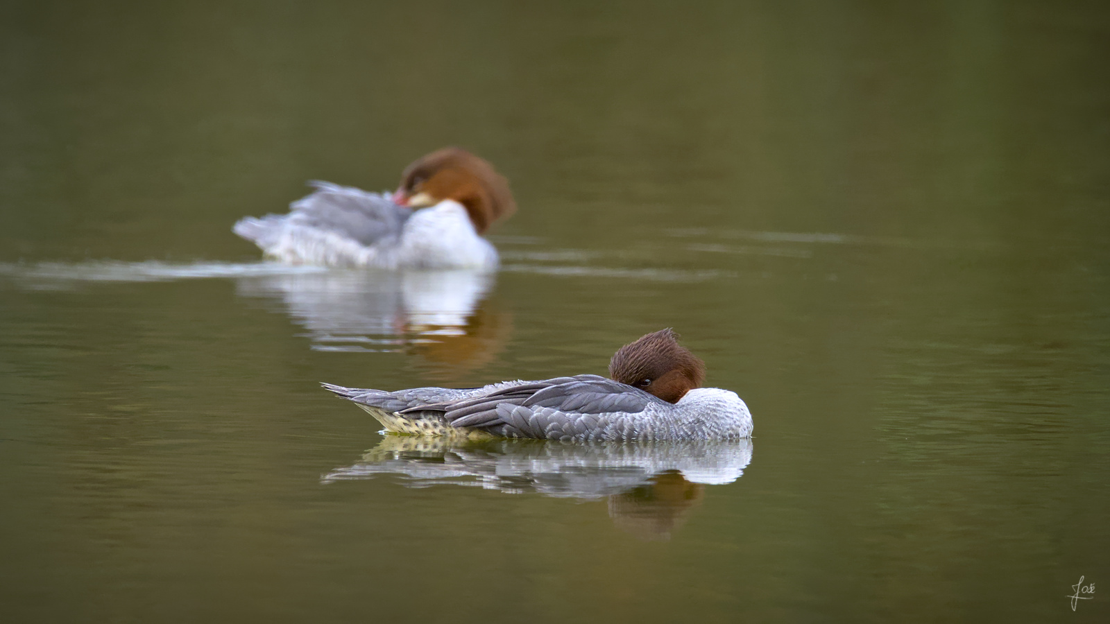 20210131_JCA0300.jpg