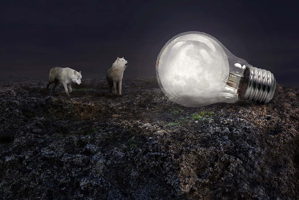 à la lune forum.jpg