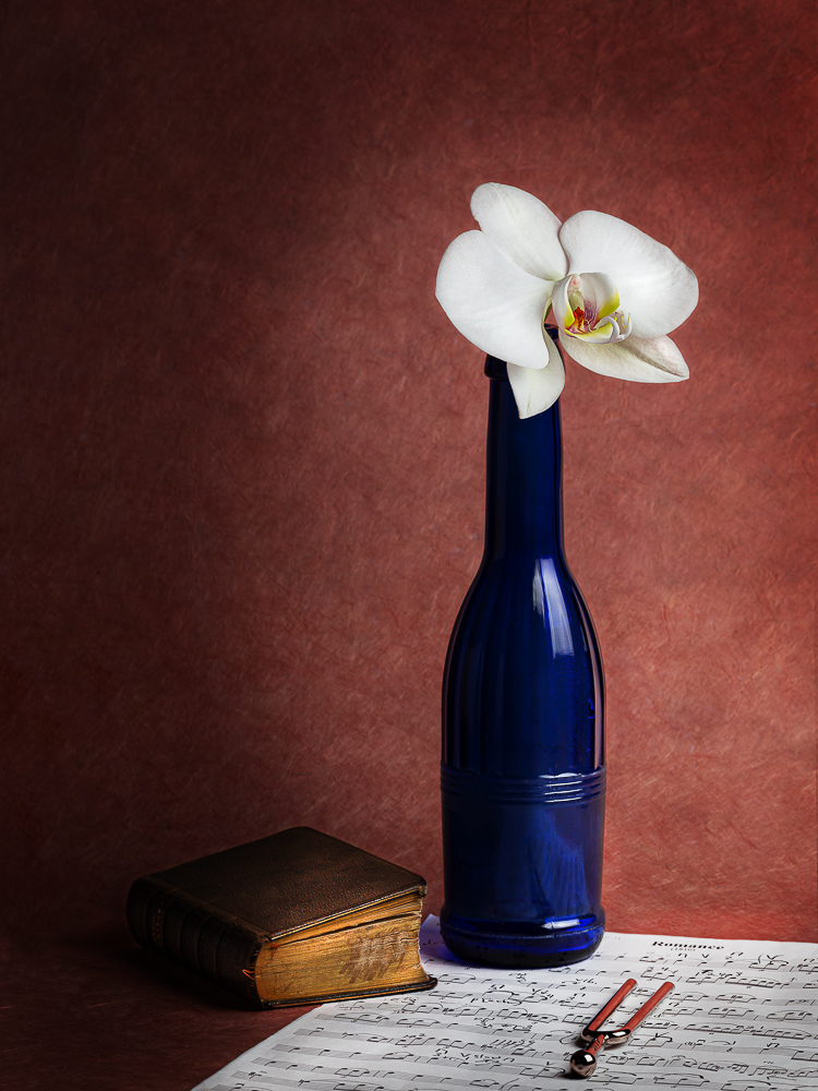 orchidée et bouteille.jpg