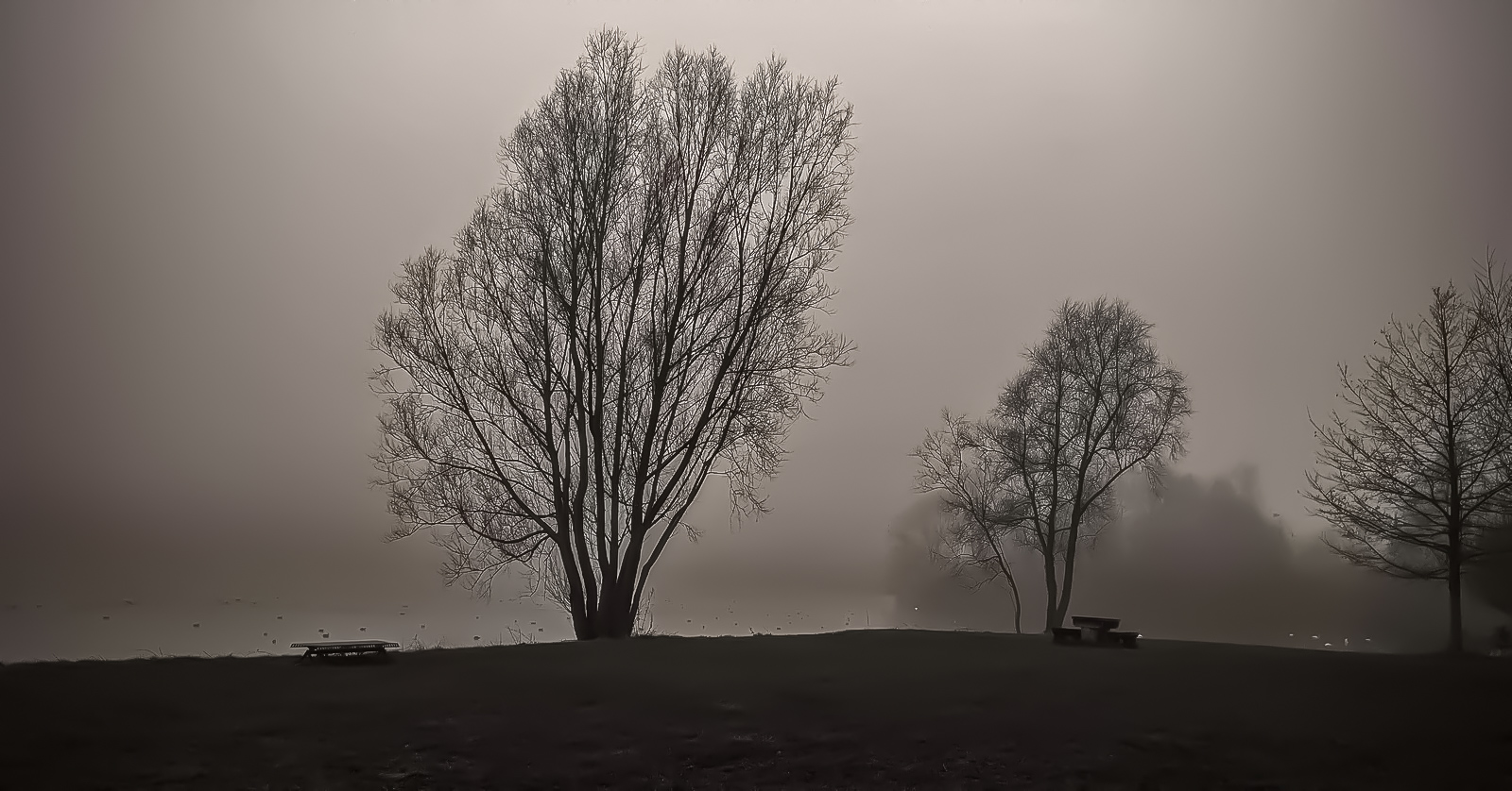 brume1600.jpg