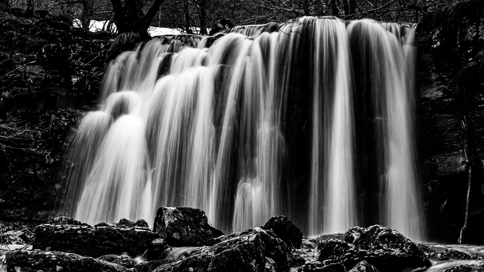 La chute des cheveux.jpg