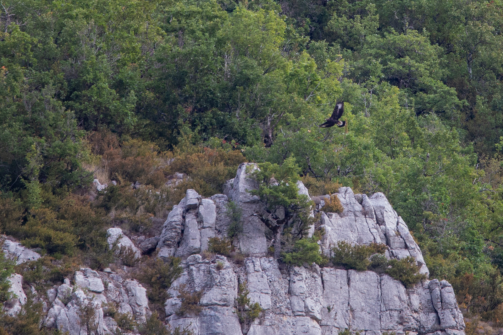 5D3_4892-4.jpg