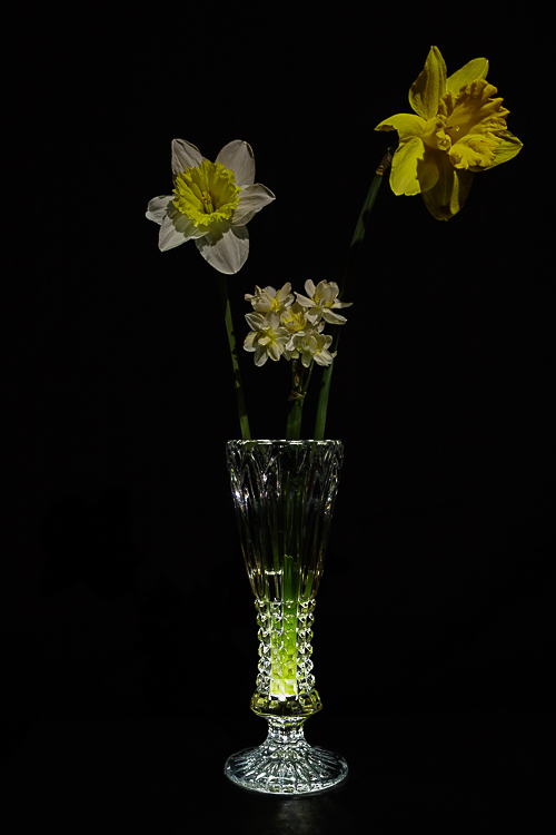BP-4452-2.jpg