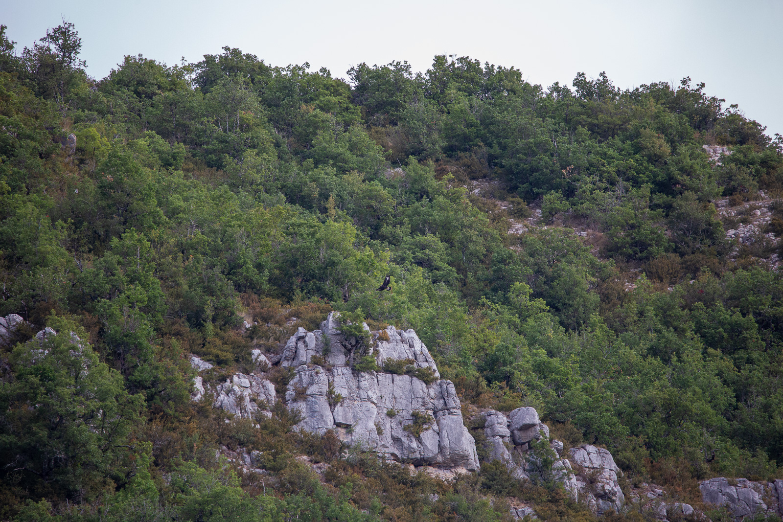 5D3_4892.jpg