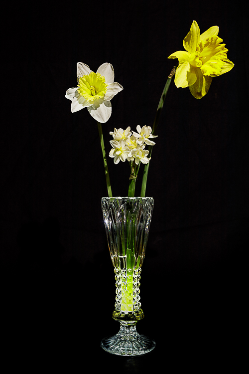 BP-4452-4.jpg
