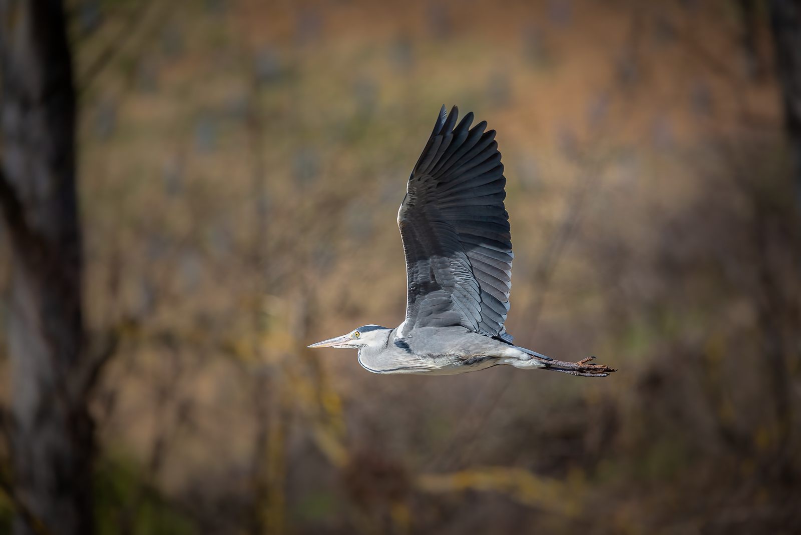 5D3_8490-2.jpg