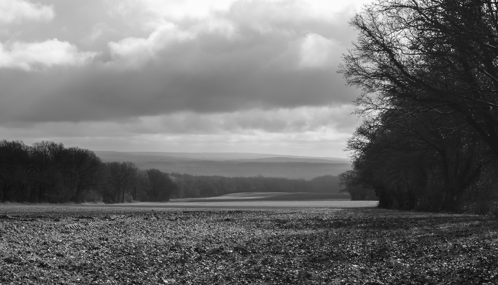 _1060240.jpg