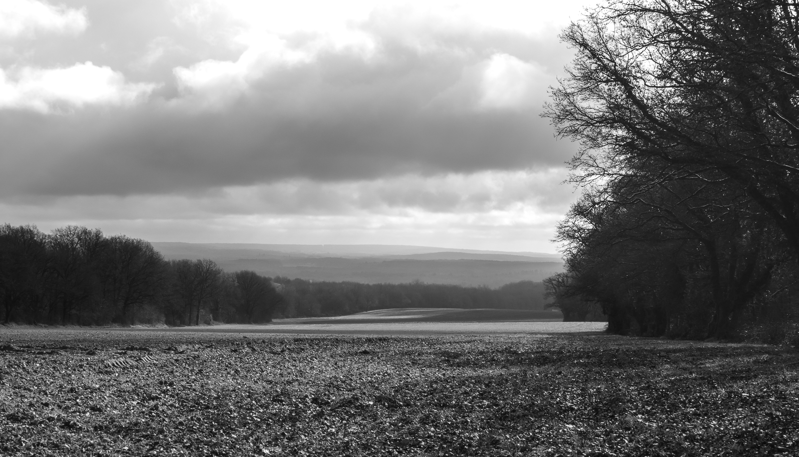 _1060240.jpg