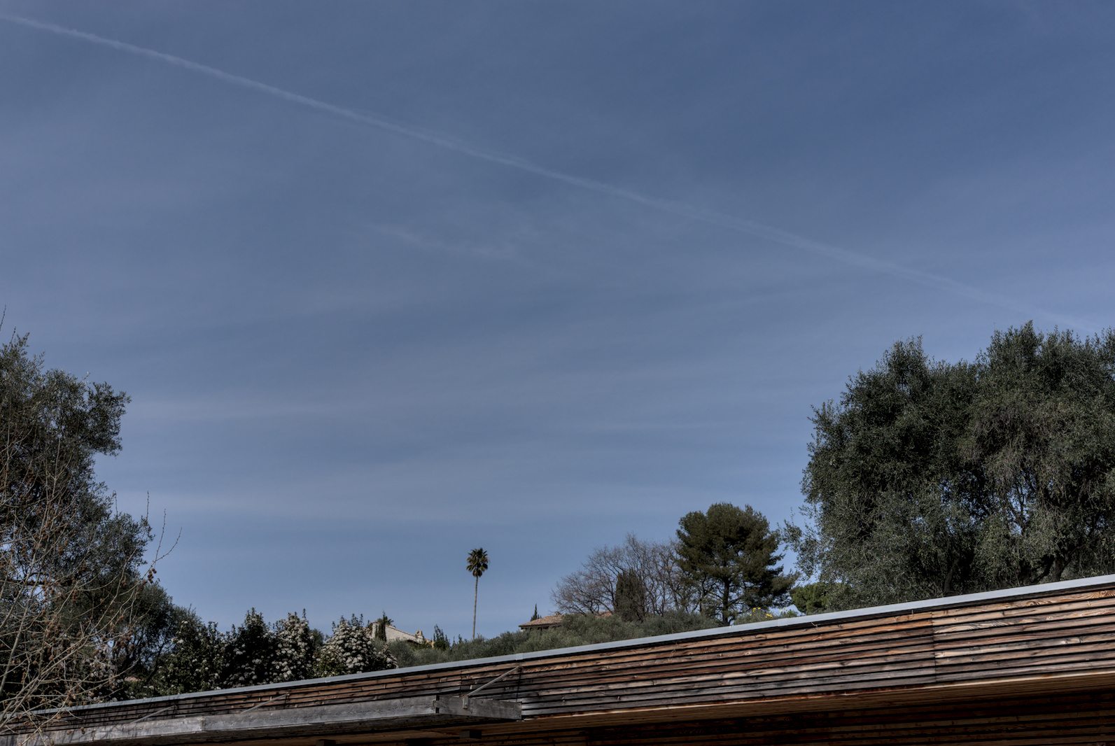 DSCF4498.jpg