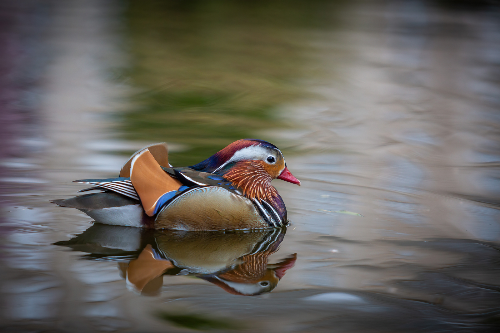 5D3_8553.jpg