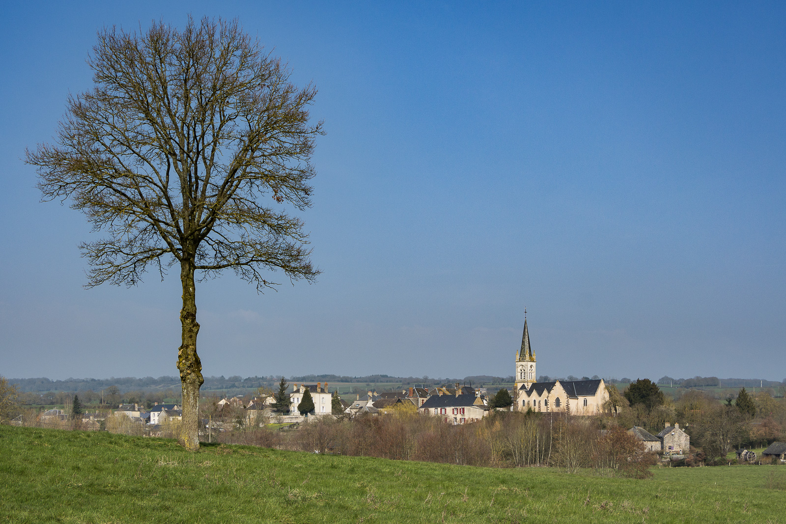 20160312-4054.jpg