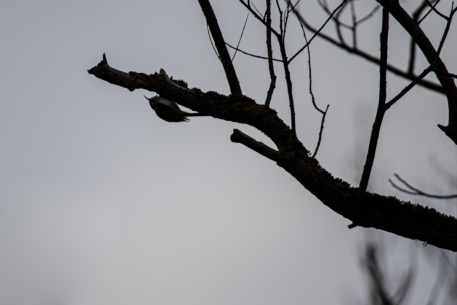 23032021-0L1A7564.jpg