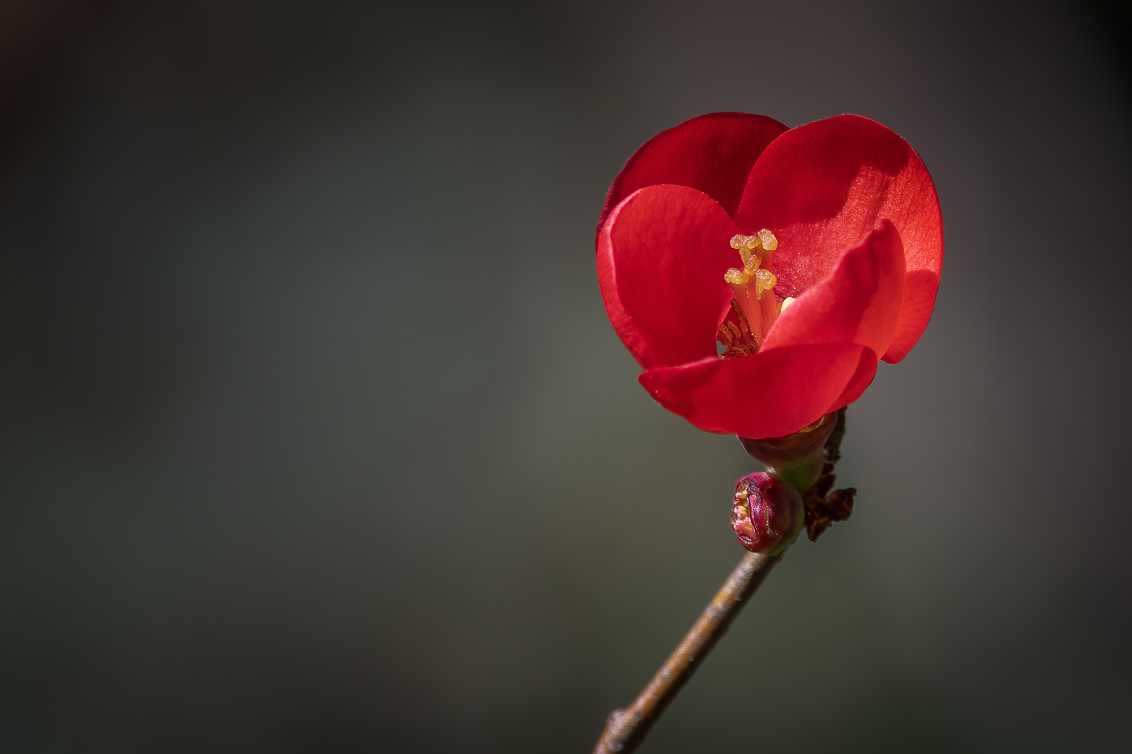 DSC_3320-Modifier-Modifier.jpg