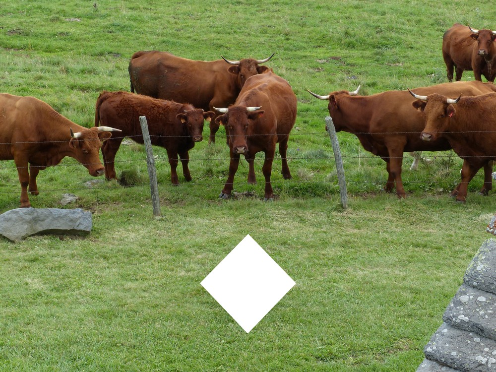 572 chapelle de vassiviere.JPG